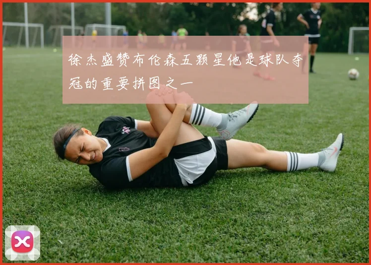 徐杰盛赞布伦森五颗星他是球队夺冠的重要拼图之一