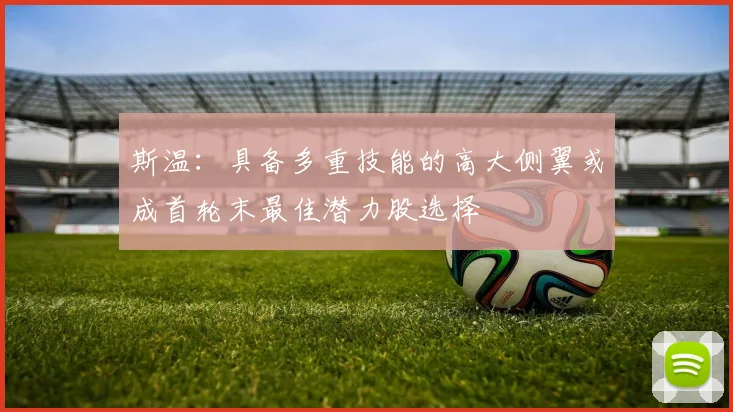 斯温：具备多重技能的高大侧翼或成首轮末最佳潜力股选择